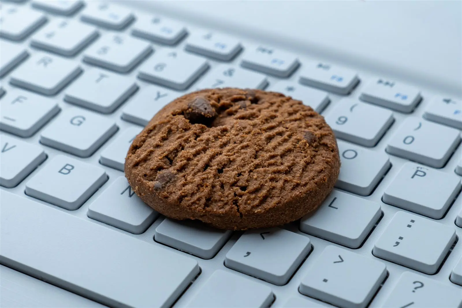 Ein Keks liegt auf einer Computertastatur – Symbolbild für den Cookie-Banner