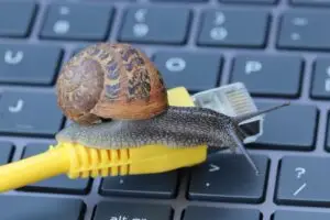Schnecke kriecht &uuml;ber einen Netzwerkstecker &ndash; Symbolbild f&uuml;r eine langsame Website